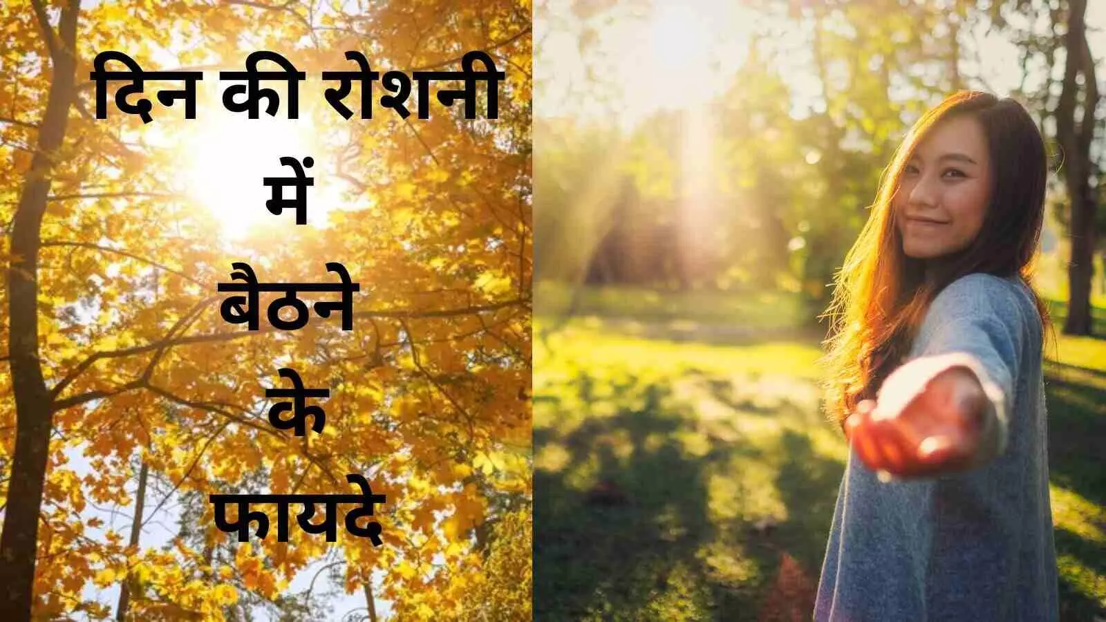 रोज धूप में कुछ घंटे बिताने से बदल जाएगा जीवन, नए शोध ने खोले छिपे राज रोज धूप में कुछ घंटे बिताने से बदल जाएगा जीवन, नए शोध ने खोले छिपे राज