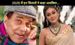Year Ender 2025: जब सिनेमा और टीवी ने खो दिए अपने सितारे, जिनकी कमी कभी पूरी नहीं हो पाएगी