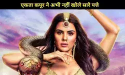 नागिन 7 में होगी खतरनाक विलेन की एंट्री, तुलसी के बाद अब नागिन का जीना करेगा हराम