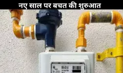 PNG Price: नए साल से पहले IGL का तोहफा, दिल्ली-NCR में PNG हुई सस्ती