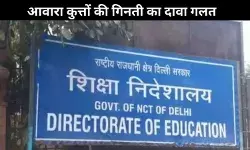 दिल्ली सरकार ने फेक न्यूज को किया खारिज, कहा- स्कूलों में कुत्तों की गिनती का नहीं कोई आदेश