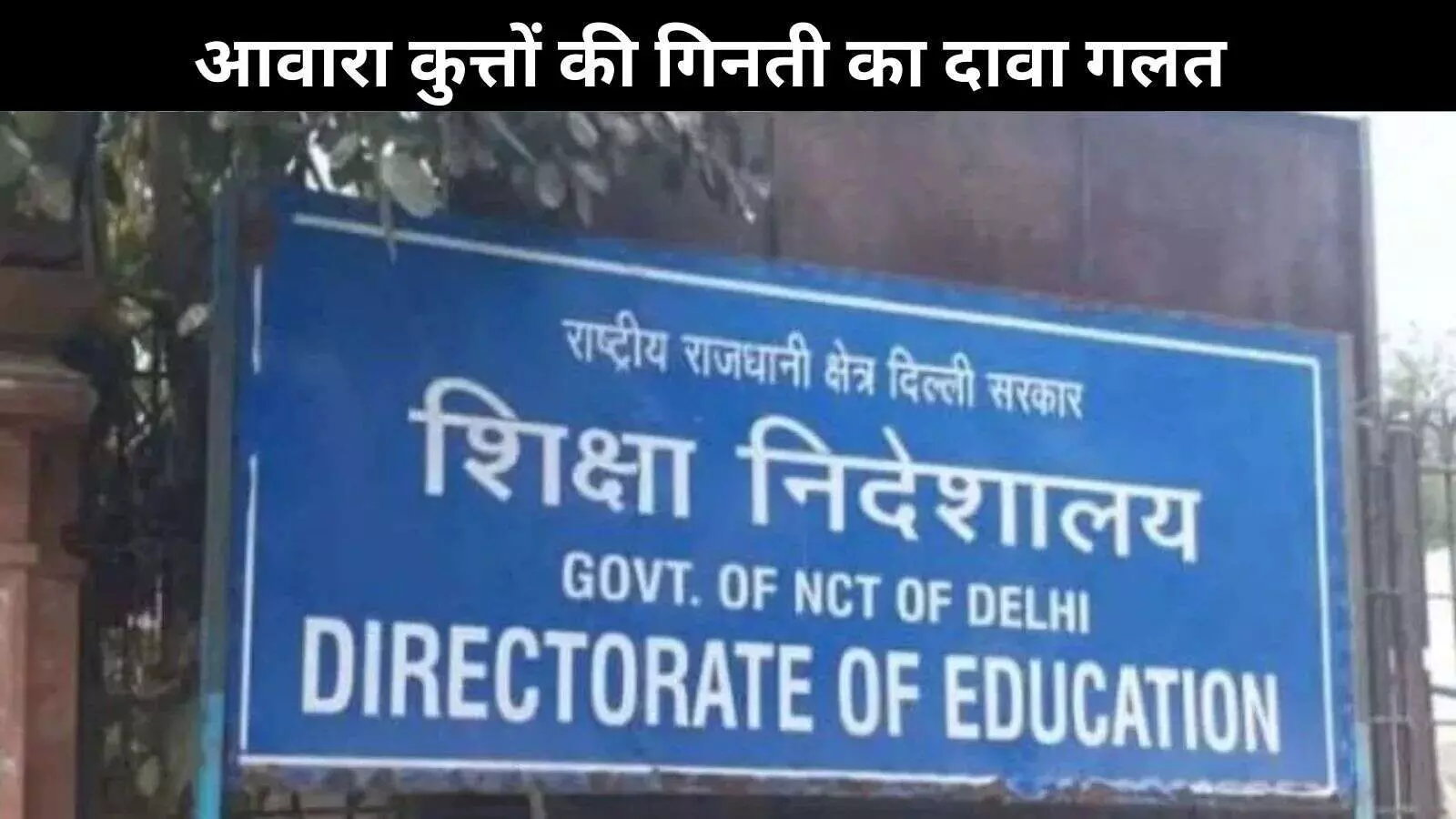 दिल्ली सरकार ने फेक न्यूज को किया खारिज, कहा- स्कूलों में कुत्तों की गिनती का नहीं कोई आदेश