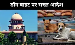 डॉग बाइट पर सुप्रीम कोर्ट की दो टूक, इलाज नहीं रोकथाम है ज़रूरी