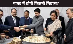 वित्त मंत्री सीतारमण के बजट में कितनी मिठास! अंतिम तैयारियों के लिए नार्थ ब्लॉक में हलवा सेरेमनी का आयोजन