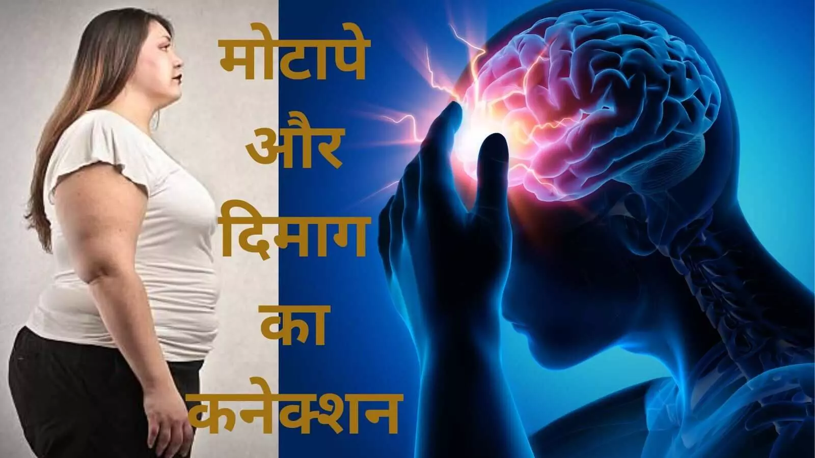 शरीर में अलग-अलग जगह फैट जमा होने का दिमाग पर होता है अलग असर! शरीर में अलग-अलग जगह फैट जमा होने का दिमाग पर होता है अलग असर!