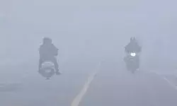 दिल्ली-NCR में लौटकर आई ठंड: आज फिर घना कोहरा, दिल्ली समेत दो राज्यों में बारिश का अलर्ट