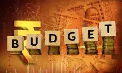 Budget 2026: कौन बना विनर और कौन बना लूजर, देखें लिस्ट