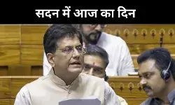 अमेरिका से ट्रेड डील भारत के पक्ष में, लोकसभा में बोले पीयूष गोयल