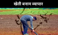 अमेरिकी आयात का खेल, डेयरी फायदे में लेकिन नुकसान में सोयाबीन किसान