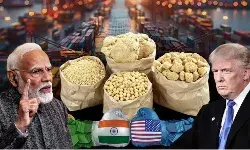 Indo-US Trade Deal से क्यों डरे भारतीय किसान? 12 फरवरी को विरोध प्रदर्शन का ऐलान