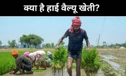 हाई वैल्यू क्रॉप्स के जरिए किसानों की आय बढ़ाने की पहल, बजट 2026 में खास जोर