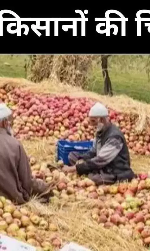 भारत-अमेरिका डील के बाद सस्ते आयात की आहट, सेब किसानों के अस्तित्व पर संकट