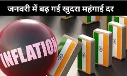 जनवरी में 2.75% रही खुदरा महंगाई दर, CPI मांपने का नया ढांचा लागू, Airfare - OTT - E-Com खर्च भी अब शामिल