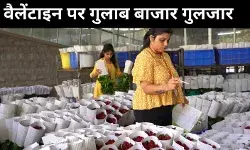 वैलेंटाइन पर खिले कर्नाटक के गुलाब, कीमतें आसमान पर
