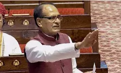 मुफ्त में बदनाम हो गई पराली, संसद में बोली सरकार- दिल्ली के प्रदूषण में सिर्फ 5% का योगदान