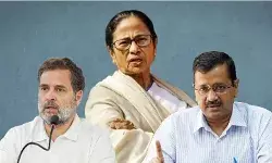 राहुल गांधी और अन्य विपक्षी नेता ममता बनर्जी से क्या सीख सकते हैं