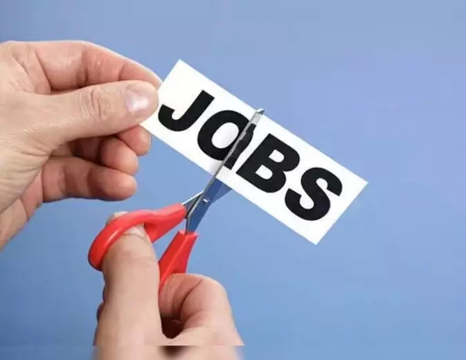 जनवरी में बेरोजगारी दर बढ़कर हुई 5%, महिलाओं की नौकरी पर गहराया संकट जनवरी में बेरोजगारी दर बढ़कर हुई 5%, महिलाओं की नौकरी पर गहराया संकट