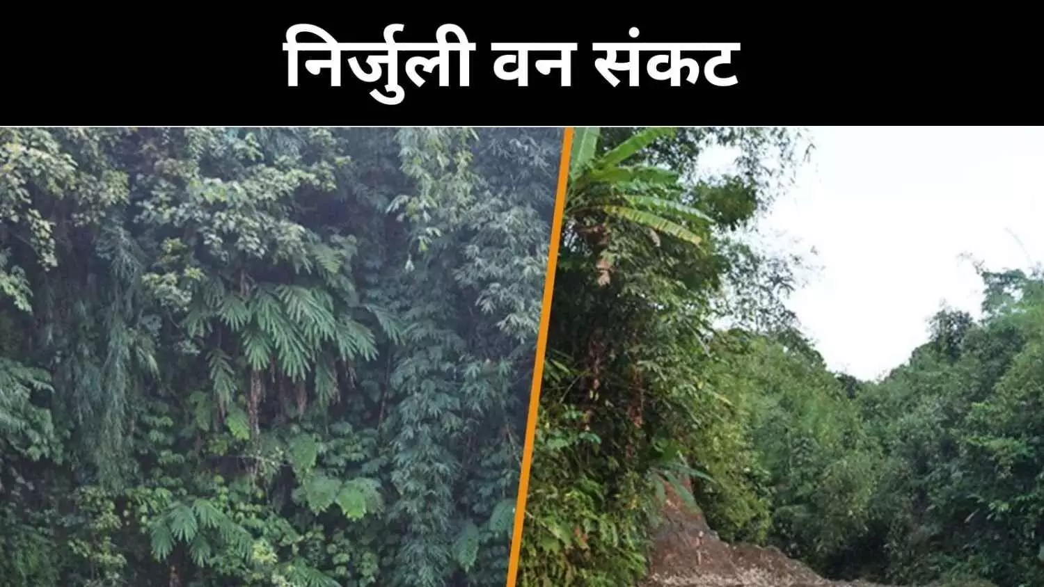 अरुणाचल प्रदेश के निर्जुली पर कंक्रीट का कब्जा, 20 साल में 17% जंगल खत्म अरुणाचल प्रदेश के निर्जुली पर कंक्रीट का कब्जा, 20 साल में 17% जंगल खत्म