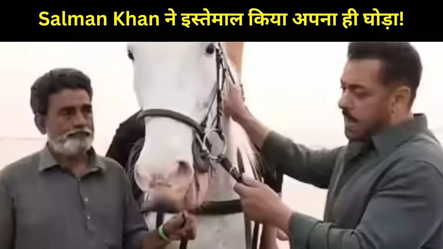 क्या आप जानते हैं? Battle of Galwan के गाने ‘Main Hoon’ में Salman ने इस्तेमाल किया अपना ही घोड़ा! क्या आप जानते हैं? Battle of Galwan के गाने ‘Main Hoon’ में Salman ने इस्तेमाल किया अपना ही घोड़ा!