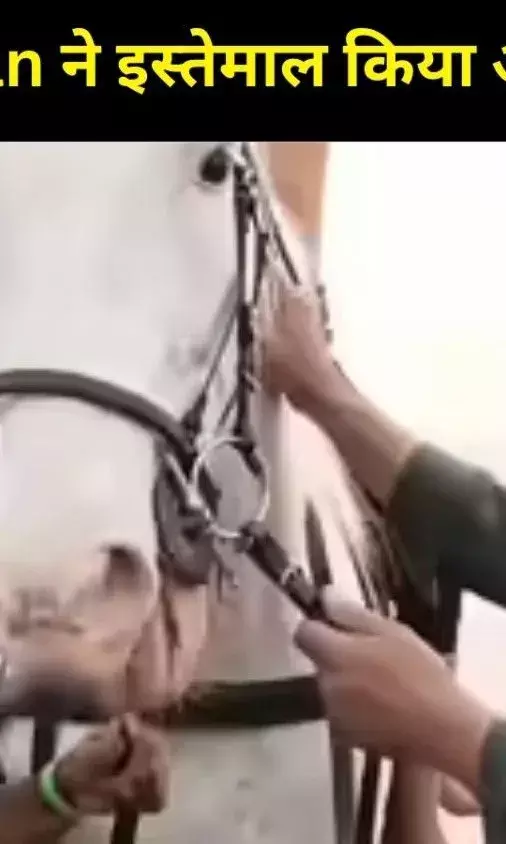 क्या आप जानते हैं? Battle of Galwan के गाने ‘Main Hoon’ में Salman ने इस्तेमाल किया अपना ही घोड़ा!