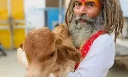 मथुरा में गौ रक्षक फरसा वाले बाबा की मौत के बाद भारी बवाल, स्वामी अविमुक्तेश्वरानंद ने सवाल उठाया