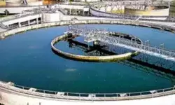 यमुना की बदहाली: दिल्ली के 25% सीवेज प्लांट बेकार, आर्थिक सर्वेक्षण का खुलासा