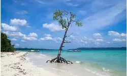 ग्रेट निकोबार मेगा प्रोजेक्ट पर आदिवासी विरोध, अधिकार और पर्यावरण को लेकर चिंता