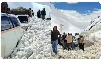 लद्दाख के जोजिला दर्रे पर एवलॉन्च, 7 की मौत, 5 घायल; श्रीनगर-लेह हाईवे बंद लद्दाख के जोजिला दर्रे पर एवलॉन्च, 7 की मौत, 5 घायल; श्रीनगर-लेह हाईवे बंद