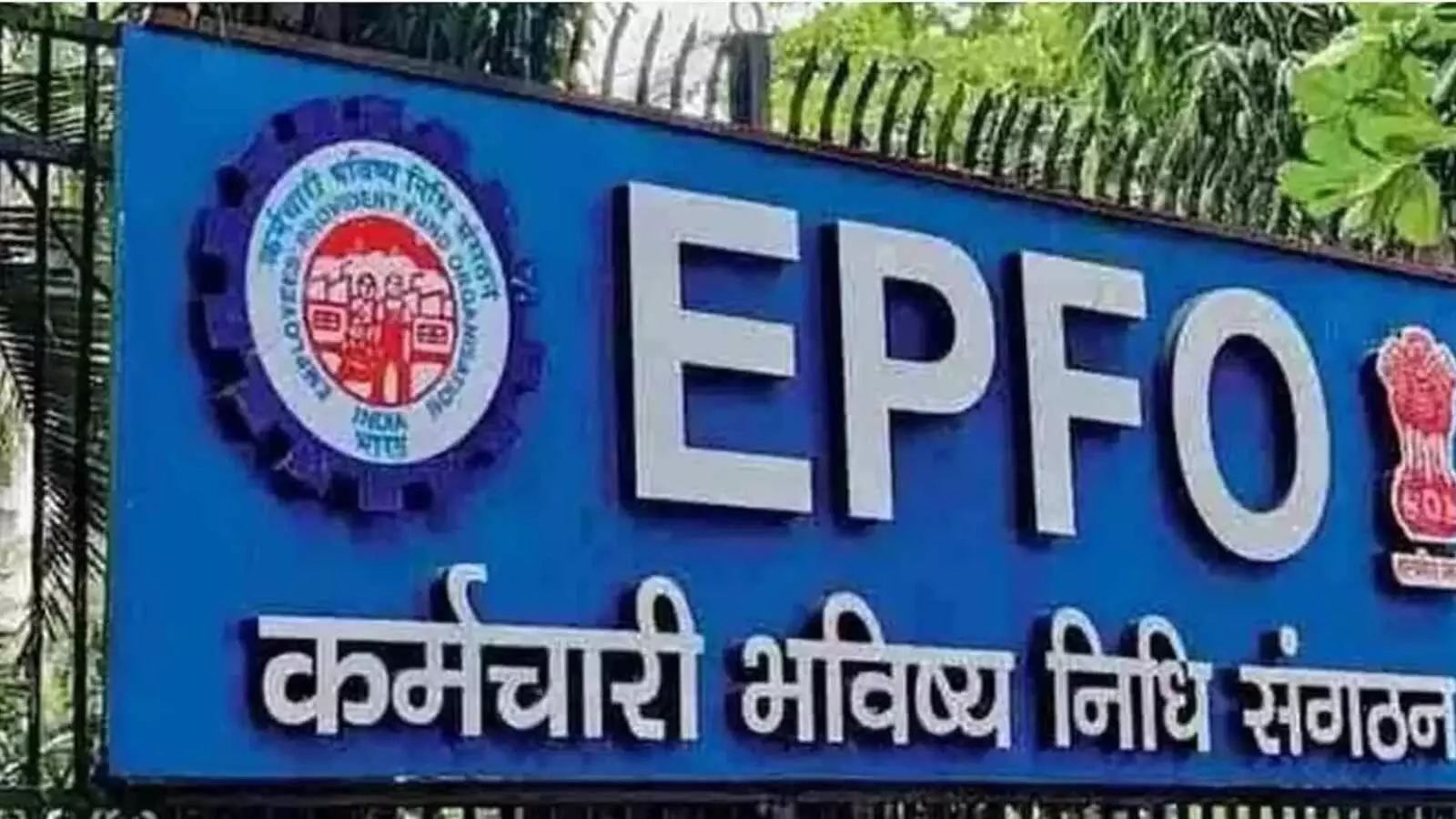 एक से ज्यादा हैं पीएफ खाते? तो ऐसे करें ऑनलाइन मर्ज एक से ज्यादा हैं पीएफ खाते? तो ऐसे करें ऑनलाइन मर्ज