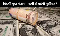 ईरान युद्ध के बाद 30 अरब डॉलर घट गया फॉरेक्स रिजर्व, क्या विदेशी मुद्रा में कमी से बढ़ेगी भारत की मुश्किलें?