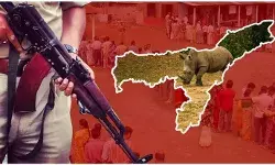 असम में चुनाव ड्यूटी के लिए वनकर्मियोंं की तैनाती पर विवाद, वन्यजीव सुरक्षा को लेकर चिंता