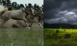 इस साल कम बरसेंगे बादल, स्काइमेट का मानसून पूर्वानुमान