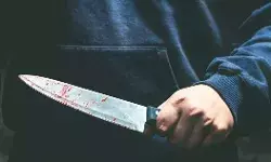 दिल्ली में पिता-पुत्र की चाकू मारकर हत्या और भाई घायल, आरोपी गिरफ्तार