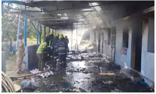 तमिलनाडु: विरुधुनगर में पटाखा फैक्ट्री में धमाका, 20 की मौत