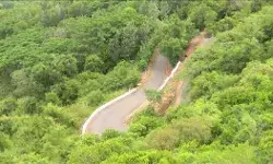 पूर्वी तट से पूर्वी घाट तक संकट, जैव विविधता पर मंडराया खतरा