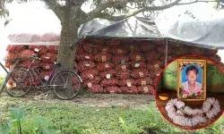 पश्चिम बंगाल चुनाव 2026: : मालदा में किसानों की बदहाली चुनाव में गूंजने लगी