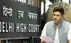 राजनीतिक फैसलों की आलोचना निजता का हनन नहीं, हाई कोर्ट की टिप्पणी